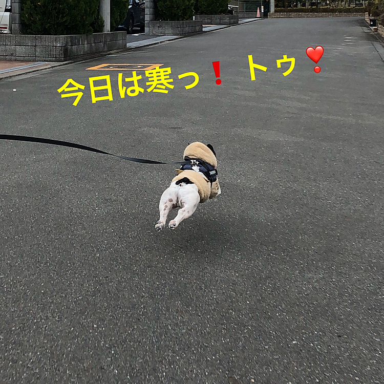 それでも寒さに負けずダッシュ💨で帰宅です😆