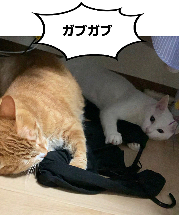 ヒートテックは美味なのだろうか？