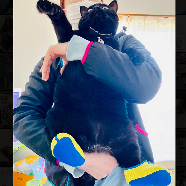 ベビー靴がピッタリ笑(=^x^=)