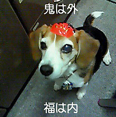 まだ片目が見える時のロウちゃん、福は内