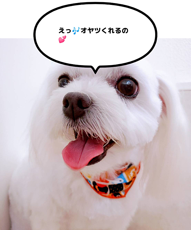 ココの母の投稿
