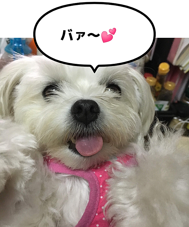 ココの母の投稿