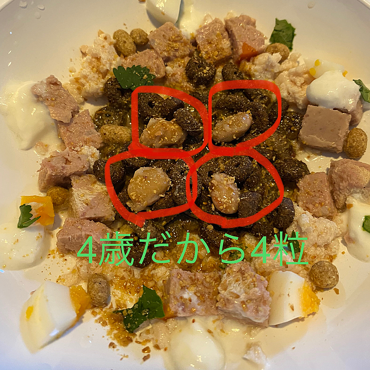 今日は節分ですね👹

ハッピーは昨日一足先に豆（納豆）4粒食べました😋
いつもはひき割りですが売り切れていて通常の納豆があったのでウマウマしました😅