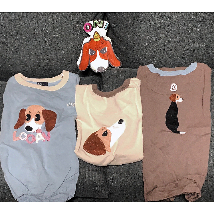 ライちゃんにかぶせる鬼のかぶりものロウちゃんの持ち物にあったような気がして何年かぶりに出したら
毛玉つきまくりのアップリケTシャツが出てきました。
こんなの着せてたんだったなぁ・・・
しみじみ
紙で描いたお面も見つかった。