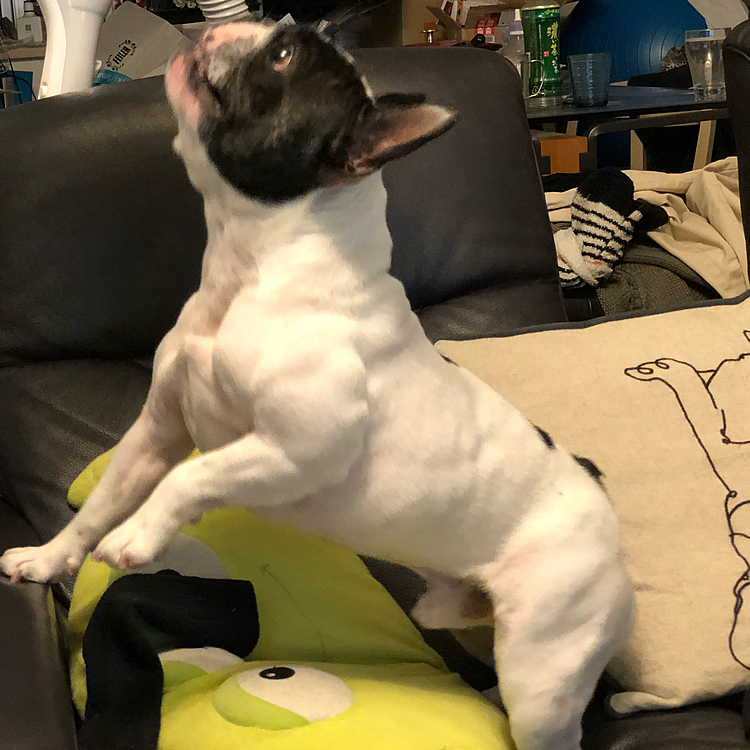 今のところアスリート体型を維持してる様です😁