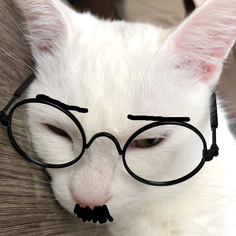 まごころでっせ