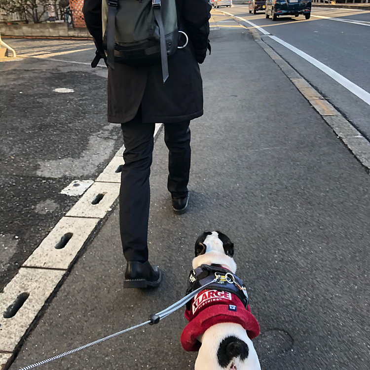 今朝は駅に向かう次男と途中まで一緒のお散歩でした😀