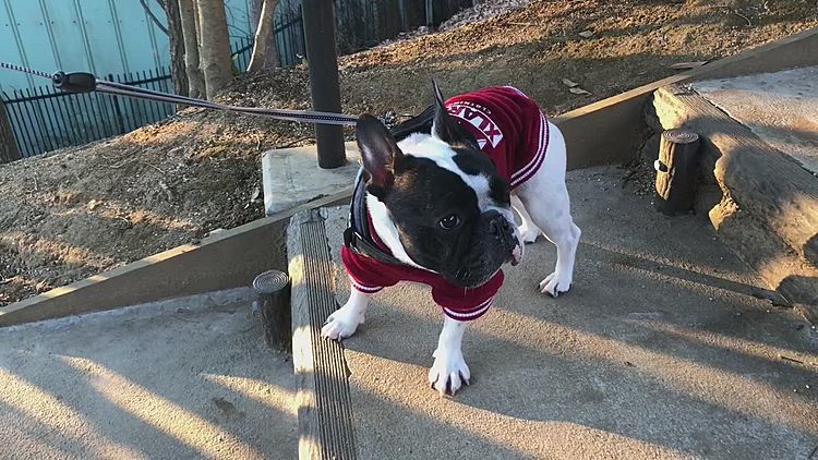 下りの方が上りよりついていくのキツい〜🤣