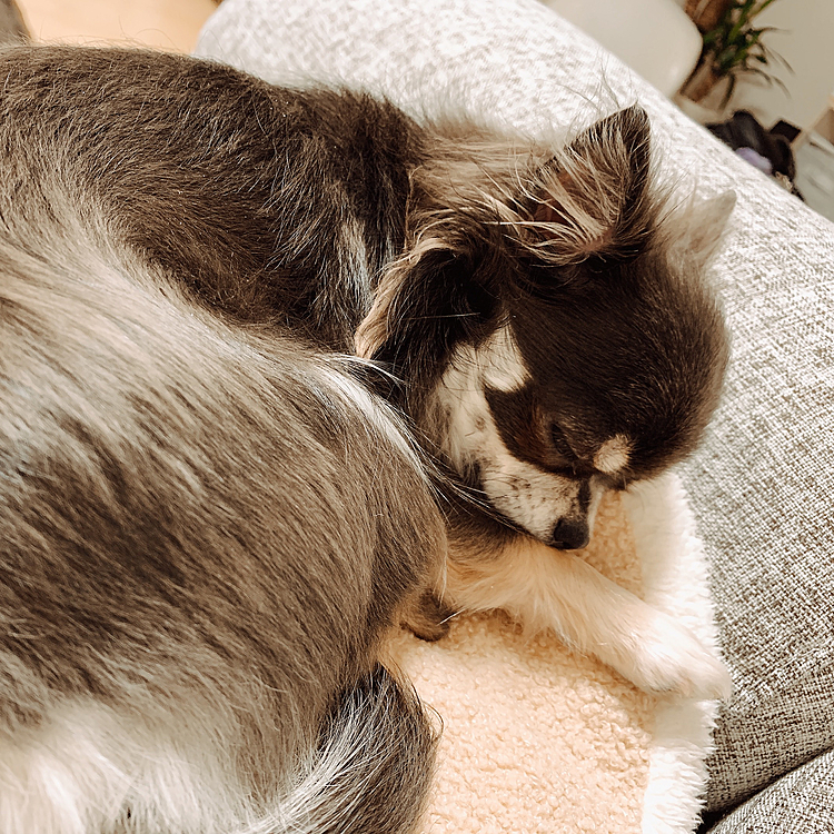 遊び疲れて寝ちゃった♡