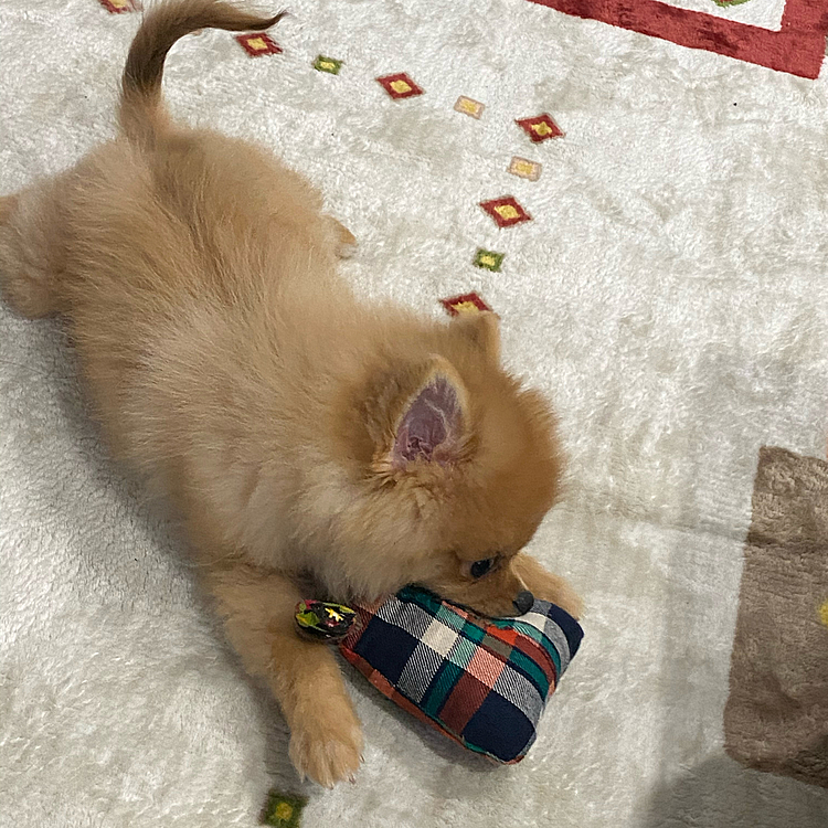 ヤンチャです(ﾟoﾟ;;
