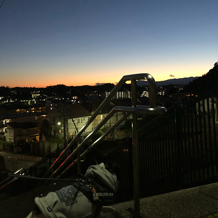 今日の日中は記録的な早さの春一番で風が強かったですね😅
春はまだ遠いですが日が随分と伸びた気がします😀