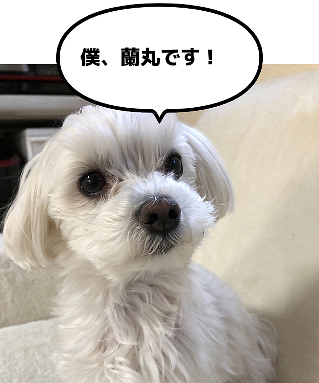 初めまして！