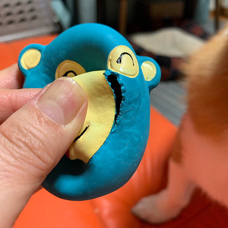と言いますのも、青いクマさんボールの鼻がもげそうになってしまって💦これはもうあぶな〜い💦鼻を食べられる〜💦
