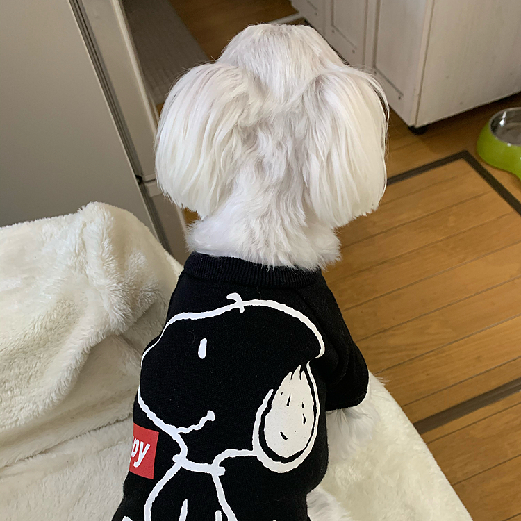 待機！(笑)
お出かけ前、じっと待ってます。