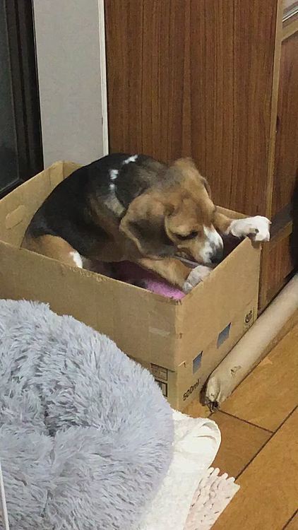 歯が痒いね〜😄