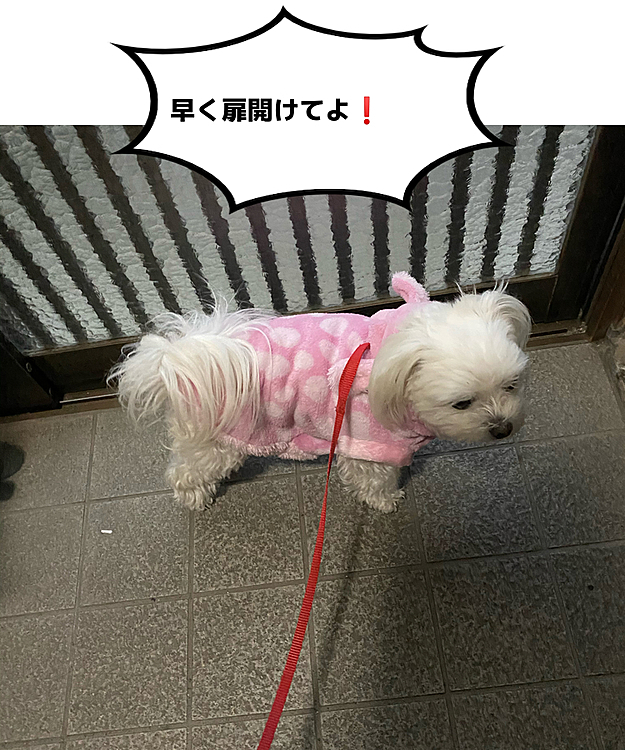 ココの母の投稿