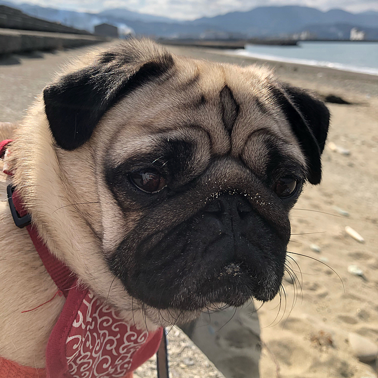 2021/2/9
今日も砂活してきました🏖