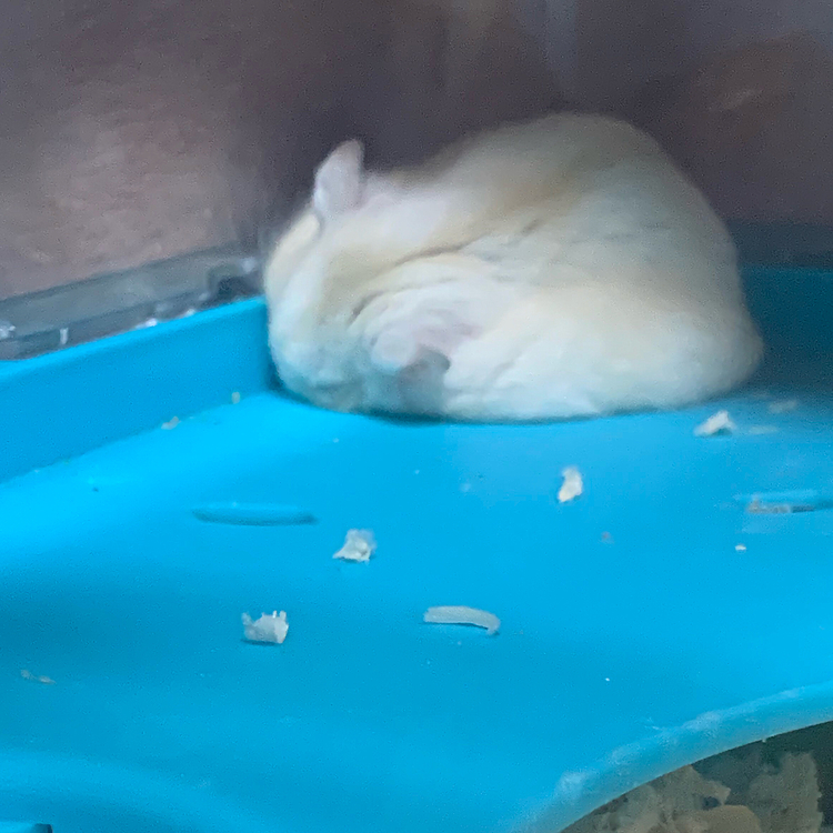 行き倒れた人間みたいで面白い（笑）