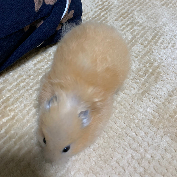 休憩しながらね💦
