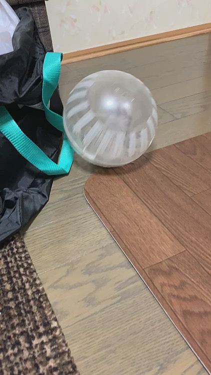 元気いっぱい部屋ンポ♪