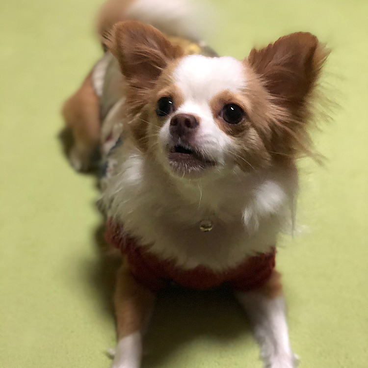 『そこにティッシュがあったからやん❣️』
って言ってます🤣