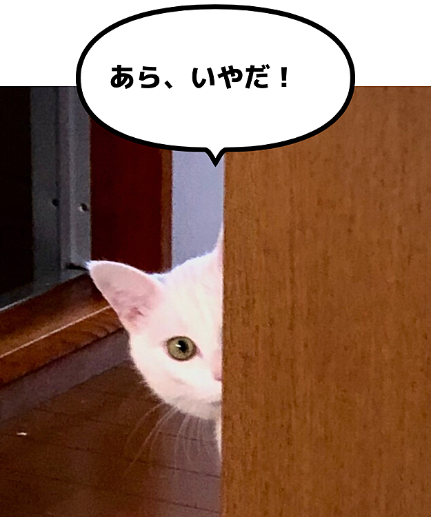 うちにも家政婦がいた！