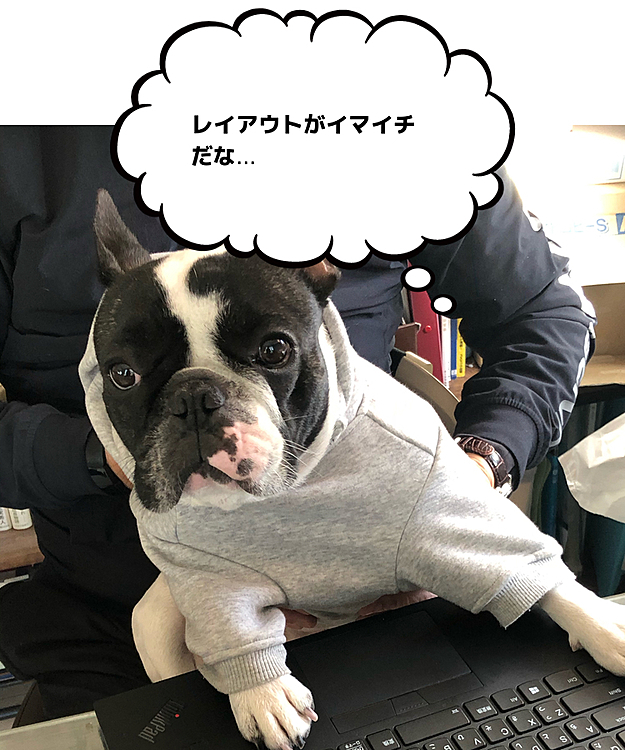 真剣な顔してます😆