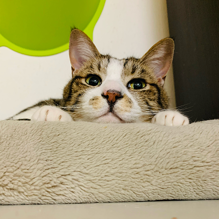 今日もお疲れサマ♪