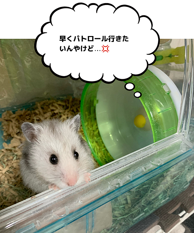 連れ出してくれるのを待ってます💦