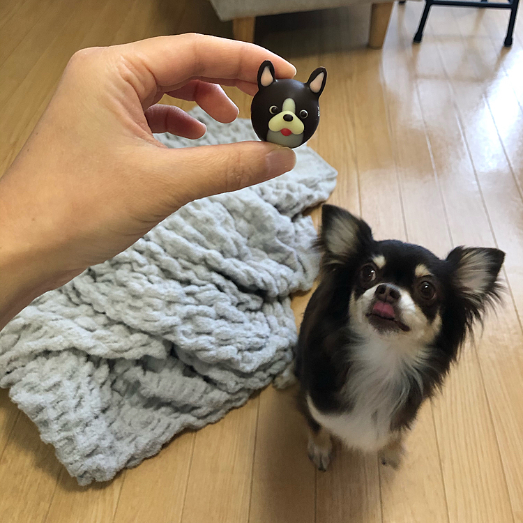 友達からのいただきもの💕
頭から〜🤭