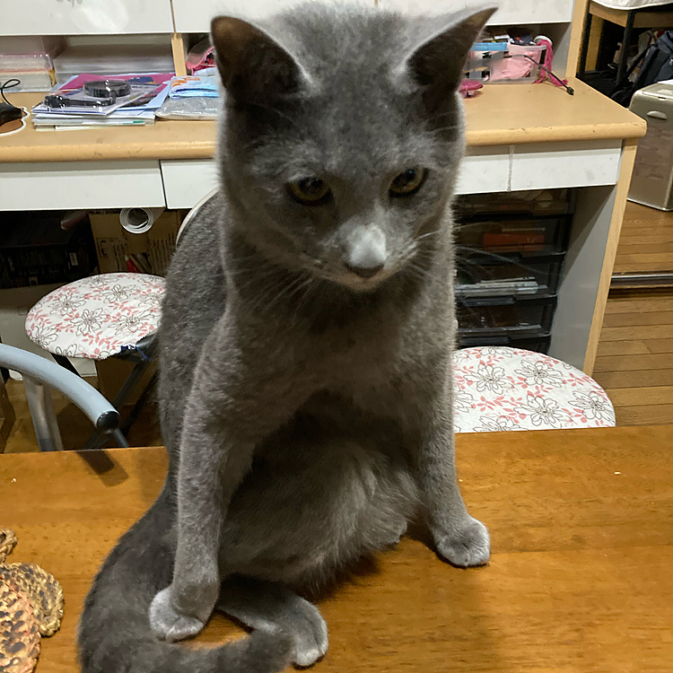変な格好②くうちゃん