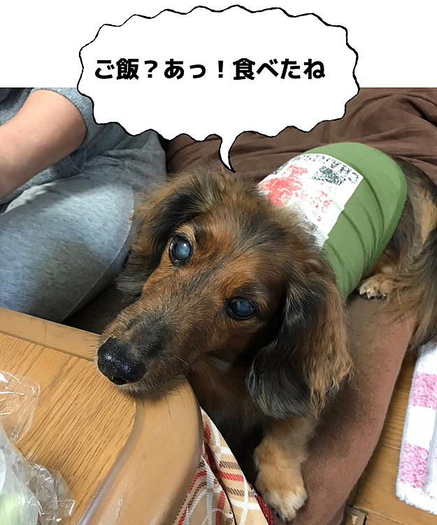 kazukichiの投稿