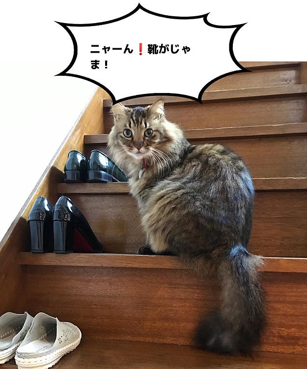 kazukichiの投稿