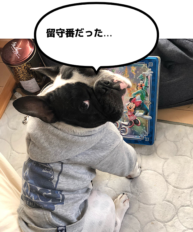 帰って来たらどこのなくよそよそしいまろでした😅