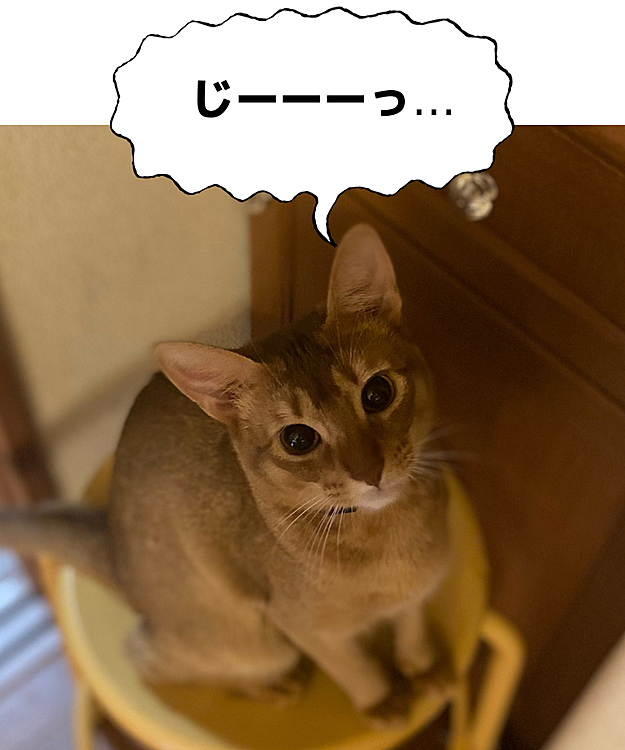 ★むぎ★の投稿