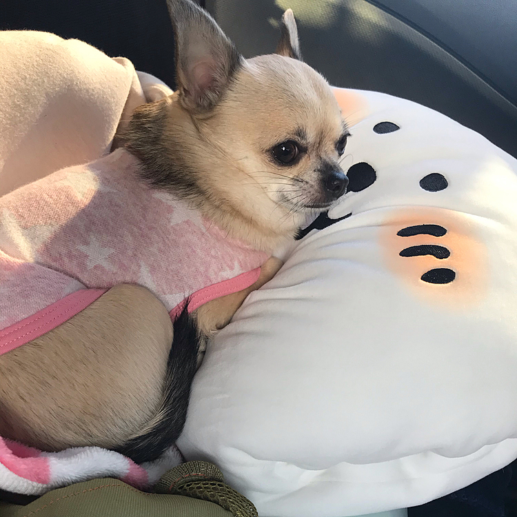 こんばんは🌙
昨日から暖かい日が続いてますね🔅ポカポカ陽気でテンション⤴️します👍