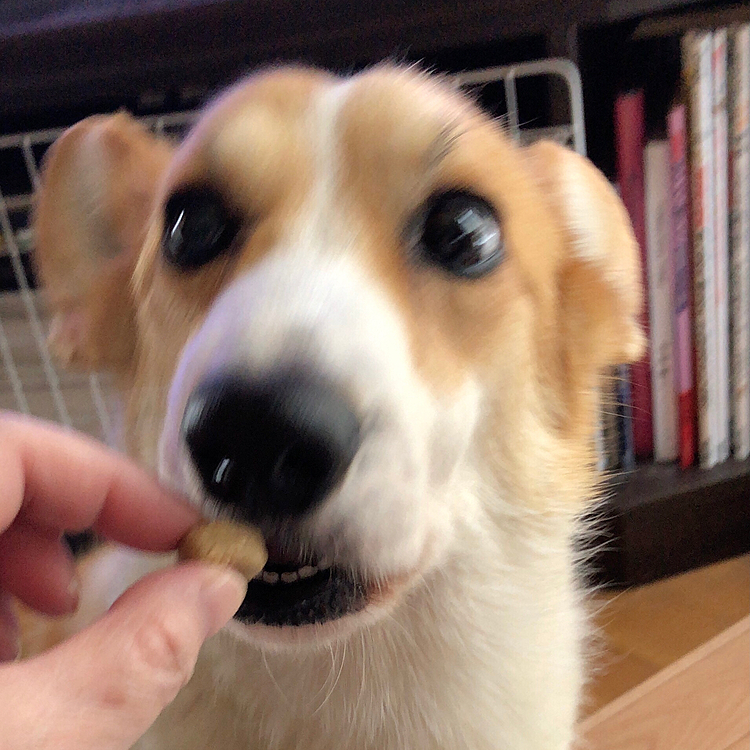 わーい😊
貰えたし❤️