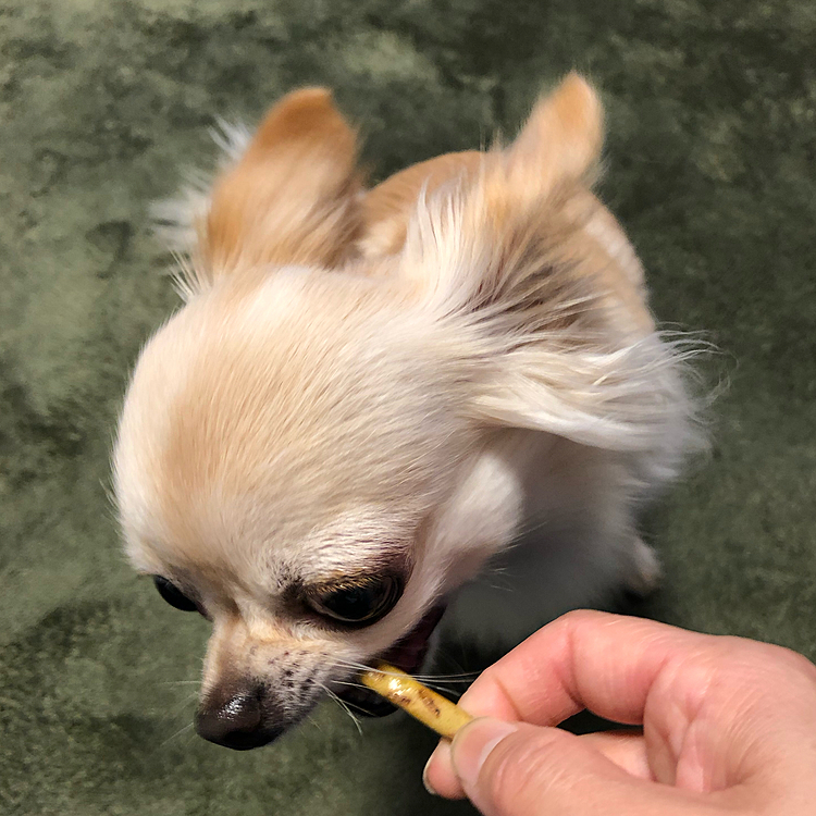 オヤツのプレッツェルとお芋🍠を食べました😊