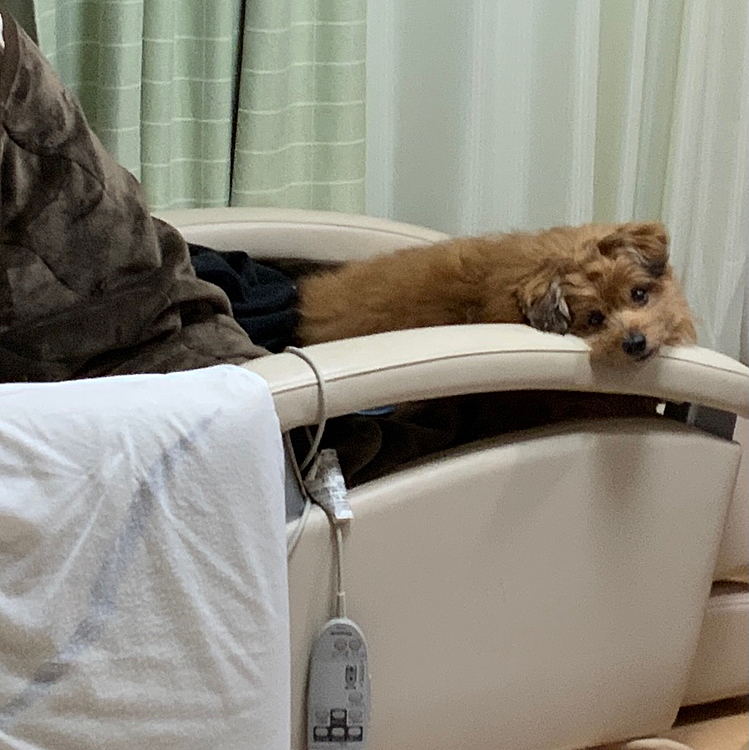 今日はここでねるらしー😅おやすみ