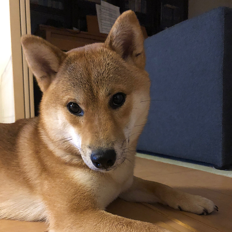 最近色々あってしばらく投稿出来ていませんでしたが、ひと段落したのでまた投稿始めようと思います。
これからもよろしくお願いします。
