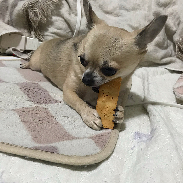 今回のヒマチーなかなか減らないね😅💦