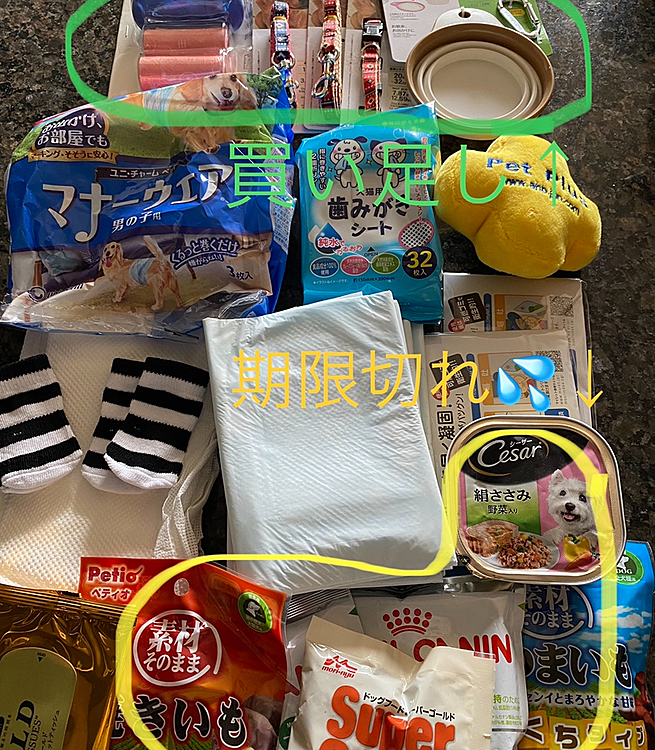 今朝4時頃に寝ていたハッピーが珍しくワンっと吠えました🐶
何⁈と思いつつそのまま寝て朝を迎えましたが震度2の地震があったようです💦
日曜日の地震はほとんど揺れませんでした😉

でも日曜の地震の後にハッピー用の防災カバンを見てみたら見事にフードの期限が切れていたので入れ替えて、新たに予備のリードや首輪を100均で買い足しました🐾