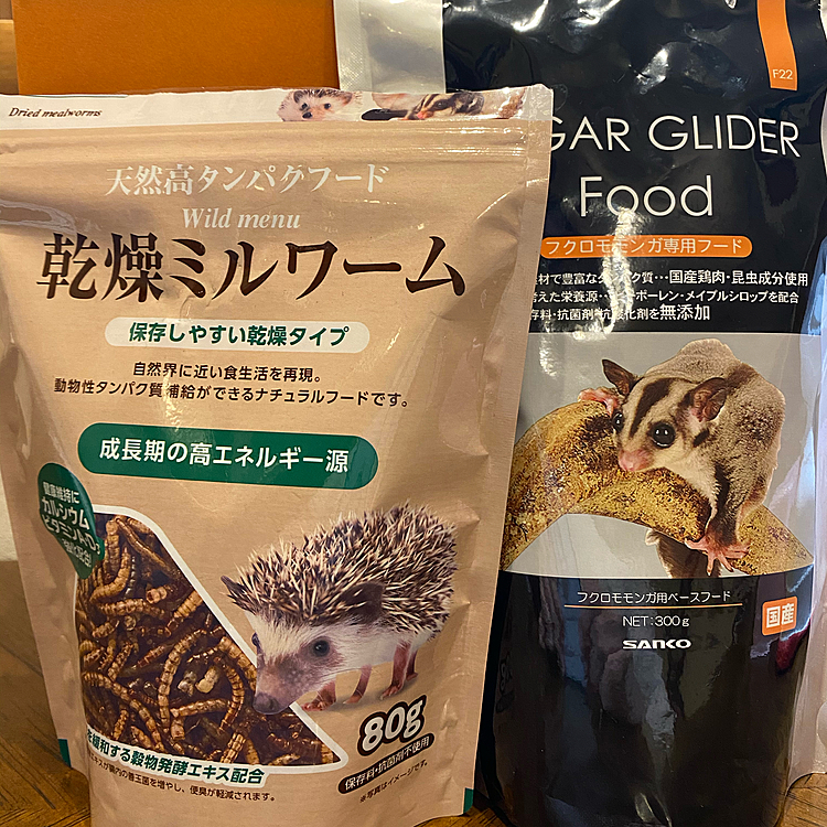 とーっても可愛こちゃんなのですが…
こんなモノが大好き😭😭😭