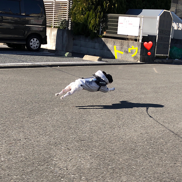 今日は金曜日❗️
久しぶりにダッシュで帰宅しました💨