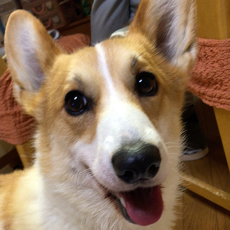 締めくくりは超笑顔😍
今日も一日楽しかった❤️