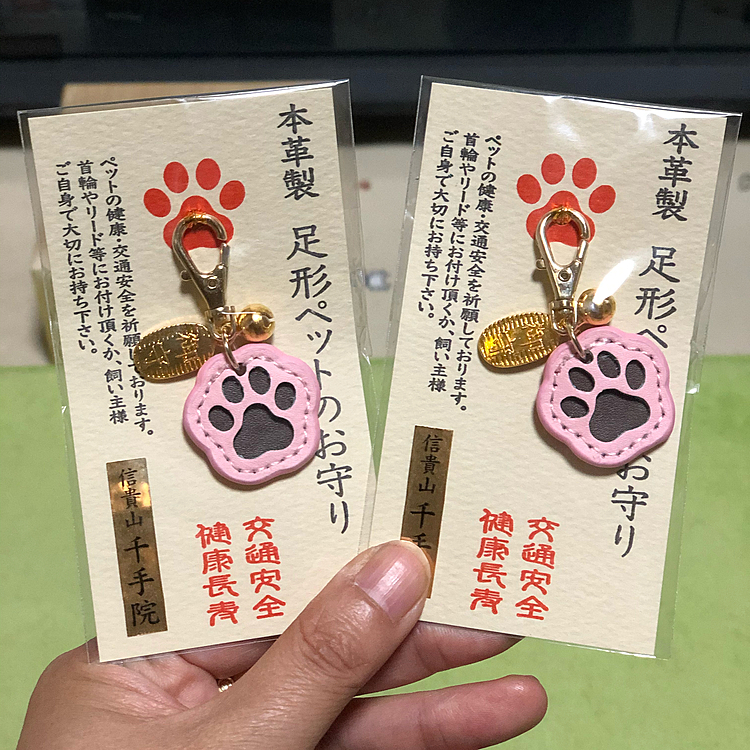 兄が小雪＆小春に御守りを買ってきてくれました✨😊