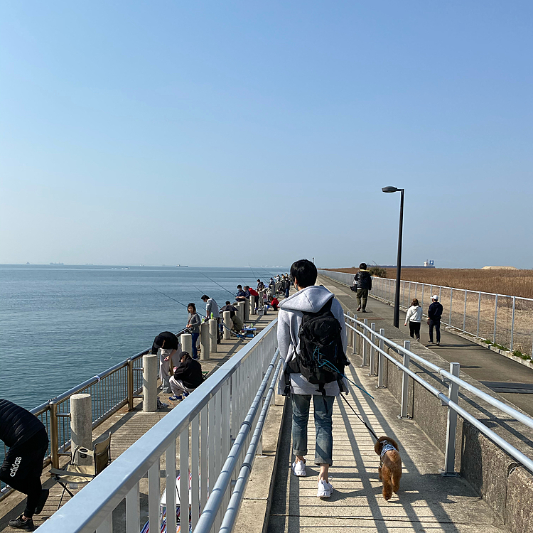 その後は公園を散策🐾
ドッグランの反対側にある海釣り公園は賑わっていました🎣
