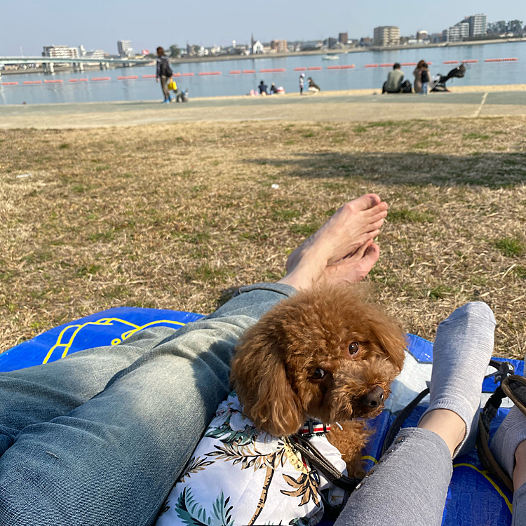 皆でのんびり過ごしました😍
人工島にあるビーチなので砂浜のすぐ先に民家が見えると言う不思議な景色ですね🏝
