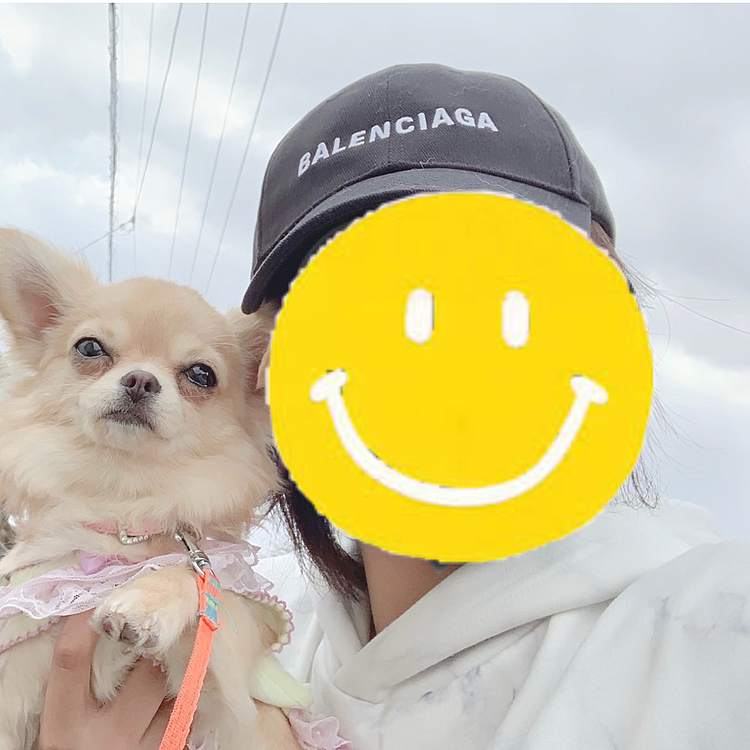 ヒメ🐶とお散歩✧︎✧︎
お外が晴れてて眩しかったのか半目です😂