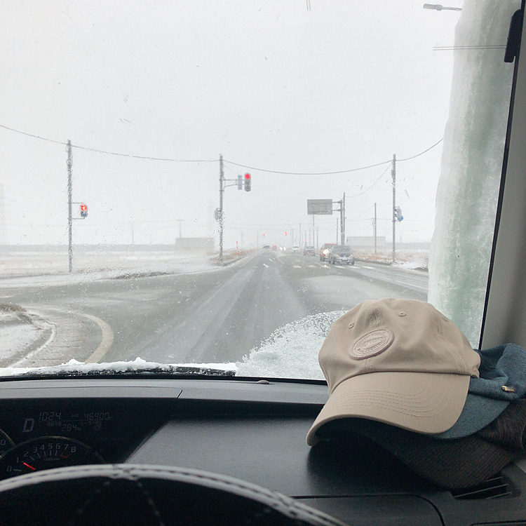 そして今朝の写真💦
またまた吹雪いてました🌀
せっかく雪溶けたのにぃ😱
またサラッと積もってます💦
テンションだだ下がり💦